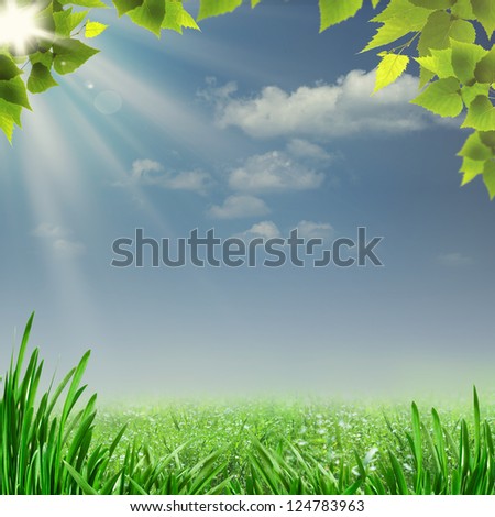 Misty summer noon. Abstract natural backgrounds for your design