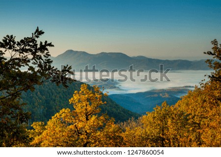 Autumn in the Caucasus mountains. Mountains in autumn forest in clouds and fog. Beautiful landscape with blue sky and yellow leaves. Russia. Krasnodar region.