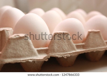white eggs lie in the egg grid