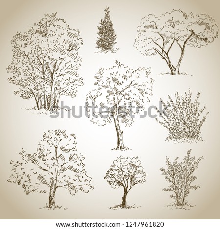 Tree sketches set. Vector illustration.