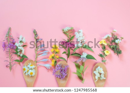Different meadow wild flowers on pink background. Floral composition with copy space. View from above.