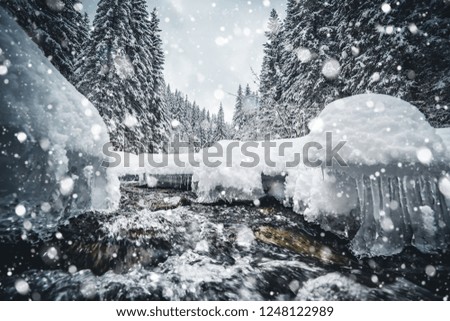 Frozen stones on the river on a frosty day. Location Carpathian mountain, Ukraine, Europe. Alpine ski resort. Exotic wintry scene. Great winter wallpaper. Happy New Year! Discover the beauty of world.