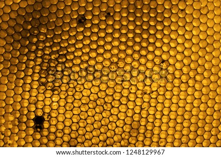 background of honeycomb