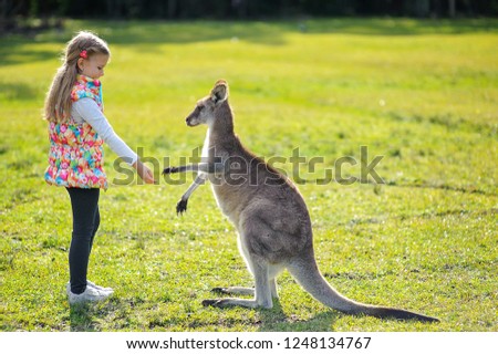 Girl with kangaroo. Wildlife