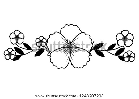 flowers stem botanical on white background