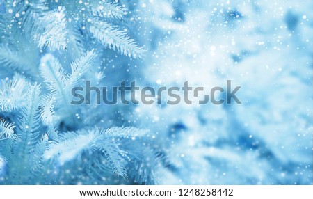 Christmas background, festive bright background to insert an image. New Year's and Christmas.