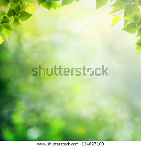 Misty morning in the forest, abstract natural backgrounds Royalty-Free Stock Photo #124827100