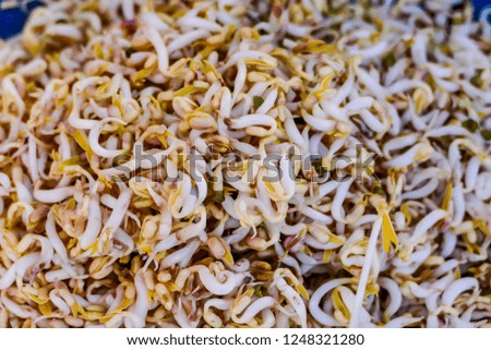 background of rice, digital photo picture as a background