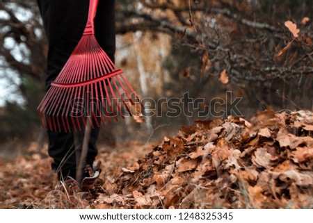 A man gardener rakes autumn leaves in the garden. Rake close up. Autumn work in the garden. Concept autumn, yellow leaves, autumn mood. Copy space.