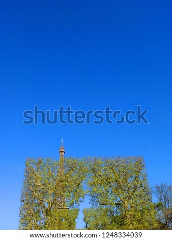 Eiffel Tower behind  green tree  on blue sky day 