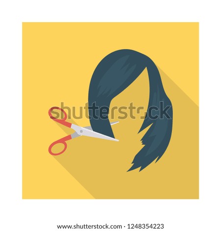 hairdresser   hairstyle   cutting  
