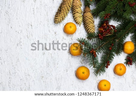 Christmas holiday background with fir branches on a light background