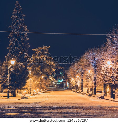 Winter snowy park with lanterns. Ukraine, Truskavets