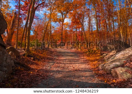 Autumn forest along with trail on Dater Mountain against blue sunny sky and sunlight go through brunch of trees - Harriman State Park, New York USA .   Royalty-Free Stock Photo #1248436219