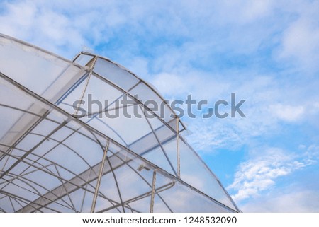 Greenhouse with blue sky in the background
