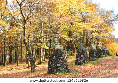 It is the scenery of Jeju Gwaneumsa with beautiful autumn leaves.