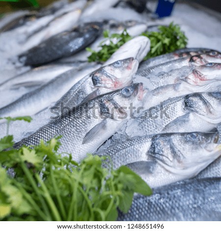 Fresh sea bass and sea breams on ice on supermarket seafood display