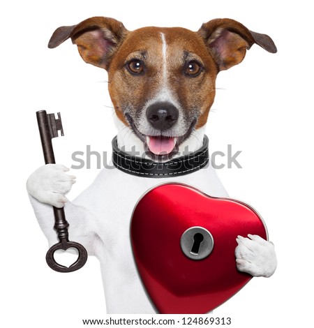 valentine dog ,unlock my heart with a key