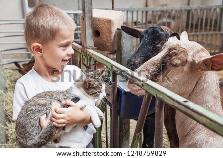 child shows a kitten to the curious goats