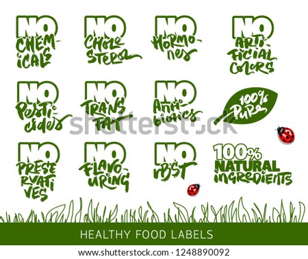 Set of Calligraphic Labels for the Organic and Allergen Free Food