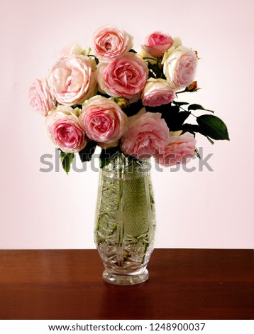 Pink roses in a vase. Beautiful pink english roses. Bouquet of flowers. Grade Eden Rose or Pierre de Ronsard.