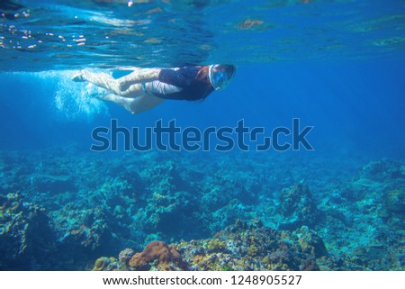 Young woman snorkeling underwater photo. Snorkel in coral reef of tropical sea. Young girl in fullface snorkeling mask. Underwater photo of oceanic landscape. Active seaside vacation. Seaside activity