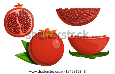 Сartoon pomegranate icon. Illustration set of cartoon pomegranate vector icons for web design