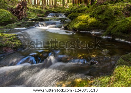 Small stream of water