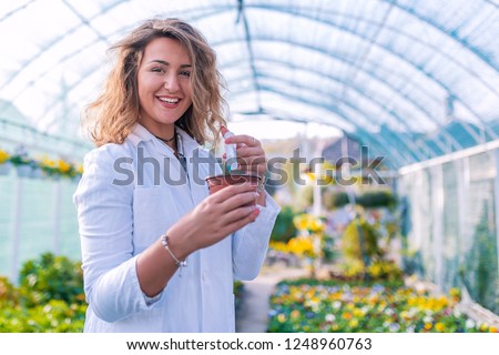 GMO Scientist Injecting Liquid from Syringe into the plant. Woman conducts experiments on a plants in a greenhouse. Genetic modification. Scientist treating a plant with chemicals 