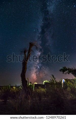 Long exposure colorful milky way behind trees and plants in Alacati, Izmir, Turkey