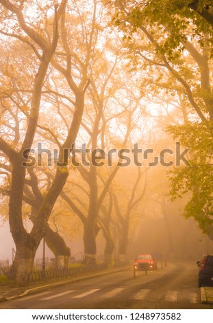 fog foggy wheather in Ioannina city autumn season  greece