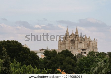Landscape picture with the famous Santa Maria Cathedral of Palma, Mallorca in Spain in the background