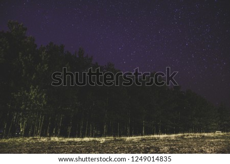 Long exposure of forrest and starry sky