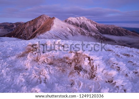 Morning twilight in Rodna Mountains National Park. View to Laptelui and Puzdra peaks. Carpathians, Romania Royalty-Free Stock Photo #1249120336