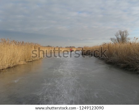 a person is ice skating at natural ice at a frozen waterway ditch with reed beds at a beautiful winter day in the netherlands