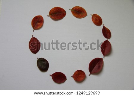fall leaf circle