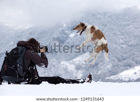 Photographer taking pictures of her dog in the snow