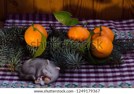 Сhristmas decorations. Christmas story. Christmas Eve. A sleeping cat, a sleeping little girl, sleeping rabbit, tangerines and spruce branches on a checkered tablecloth. 