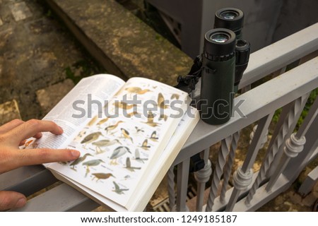 Binoculars and Bird Guide Birdwatching Royalty-Free Stock Photo #1249185187
