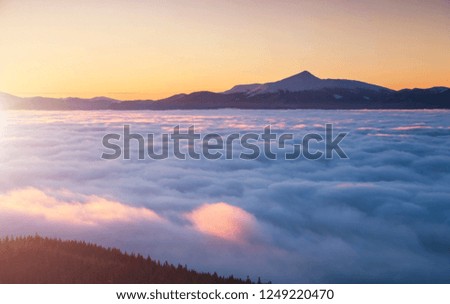 Incredible air view of the valley covered with dense fog. Location Carpathian mountain, Ukraine, Europe. Magical wintry scene. Perfect winter wallpaper. Drone photography. Explore the beauty of earth.