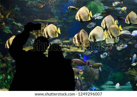 Couple taking a selfy in front Rainbow Reef aquarium Indo-Pacific coral reef with watching school of Batfish