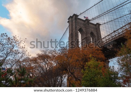 Brooklyn Bridge, Trees and Sky