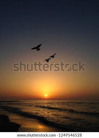 bright sunset at the Black Sea