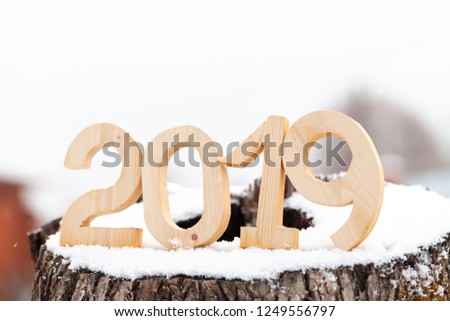 Wooden figures 2019 on the snowy stump. New year and christmas theme.