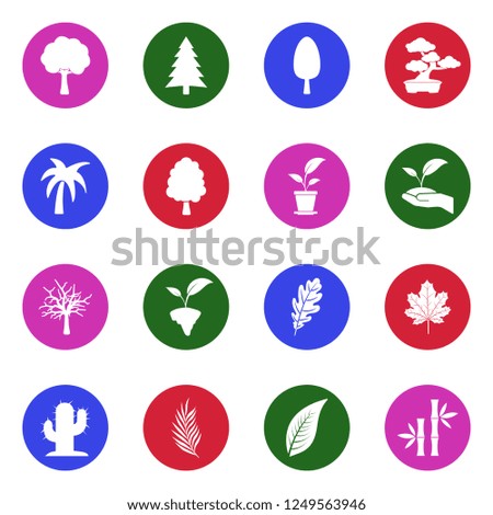 Tree Icons. White Flat Design In Circle. Vector Illustration. 