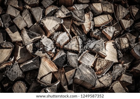 Abstract photo of a pile of natural wooden logs background