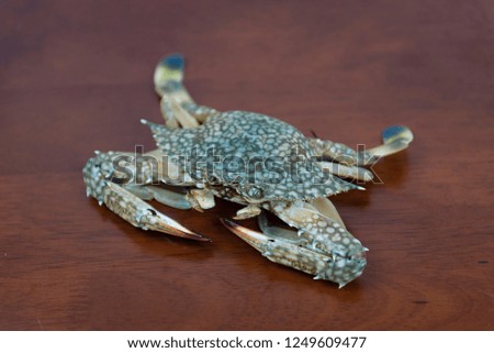 Fresh raw crab seafood on a wooden background