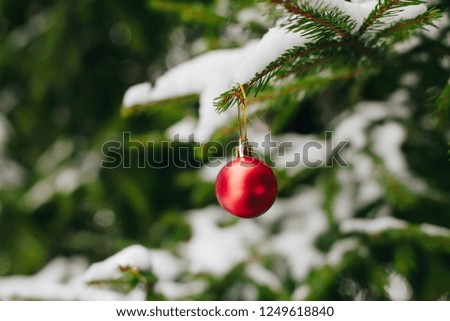 Beautiful Christmas and New years eve Background. Christmas red ball hanging on fir tree branches in winter outdoors. Holiday greeting card with copy space.