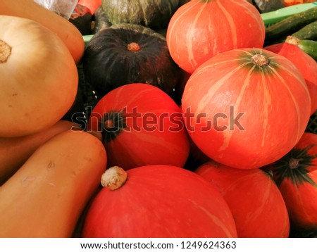 The many pumpkin in a basket. it have red pumpkin,squash