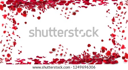 Petals Stock Image with blur effect